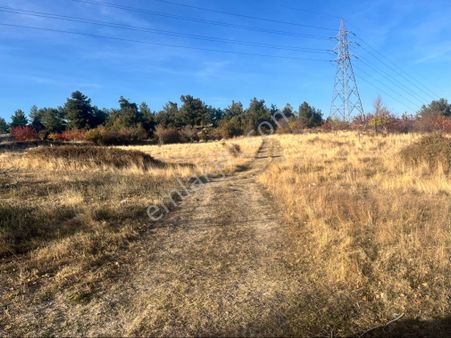 Karakocada Satılık 2 Dönüm Tek Tapu Kirazlık