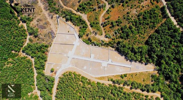 Kemalpaşa Kuyucak Satılık Bahçe 1.070 M2