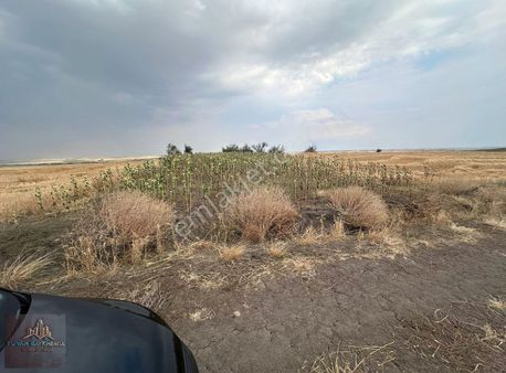 Yuvam Gayrimenkul'den 1035 M2 Müstakil Tapulu Tarla