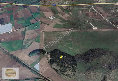 Dikili İsmetpaşa'da Fırsat Yatırımlık Satılık Arsa