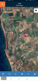 Çanakkale Ezine Tavaklı Bölgesinde Satılık Zeytinlik