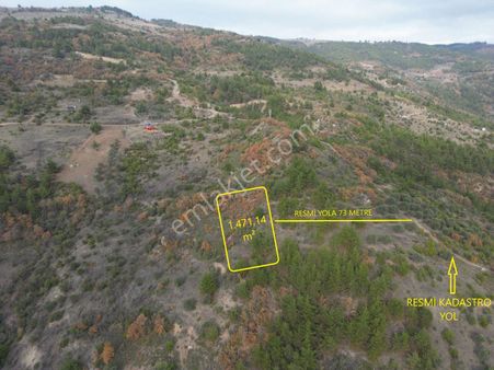 Sakarya Pamukova Hüseyinli Mahallesi Bekçi Yatağı Mevki'nde Yatırımlık Arsa