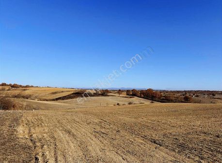 Kırklareli Lüleburgaz Çeşmekolu Köyü 9.738m2 Tarla