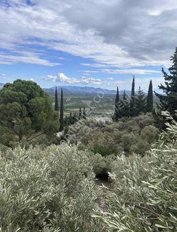 Latmos Gayrimenkul'den Güllübahçe'de Satılık Zeytinlik