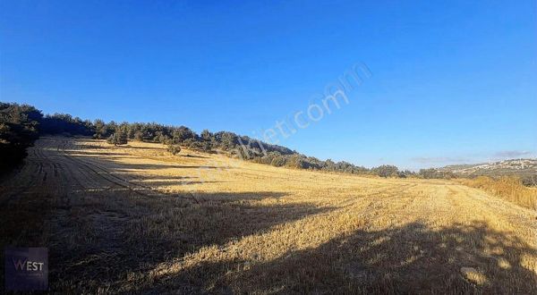 Çanakkale Merkez İntepede 500 M2 Kooperatif Hissesi