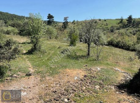 Çanakkale Lapseki Hacıgelen Köyünde Satılık Tarla