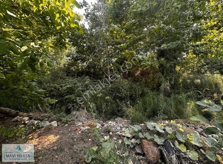 Çanakkale Yenice Haydardaoba Köyünde Yola Cepheli Satılık Tarla