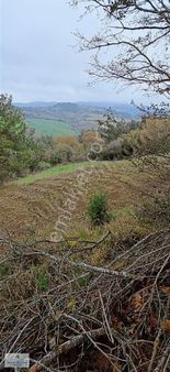 Çanakkale Biga Ramazanlar Köyü Satılık Kupon Arazi
