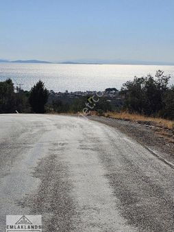 Narlıda Deniz Manzaralı Zeytinlik