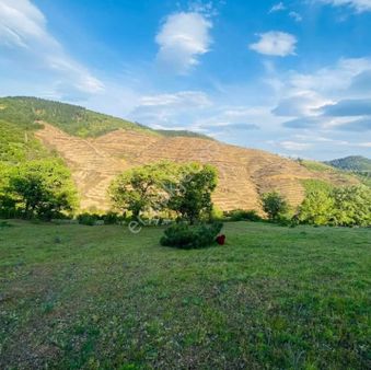 İzmir Bergama Oruçlar Köyünde Satılık Tarla
