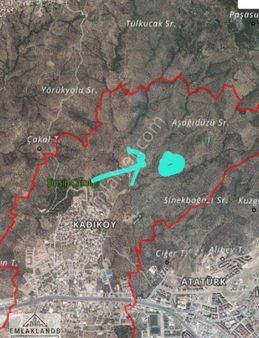 Çok Uygun Fiyata Zeytinlik(edremit/kadıköy)