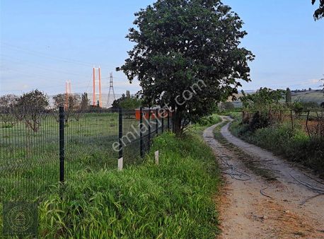 Cevizli De Satılık Muhteşem Köşe Parsel