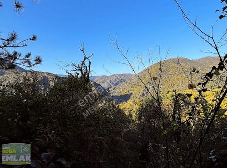 Mengen Karakaya Ev Yapılabilir Satılık Bahçe