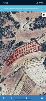 Karaman Ermenek Olukpınar Satılık Bahçe