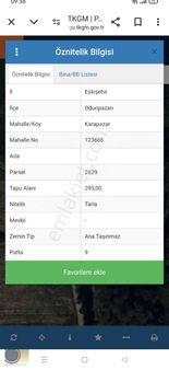 Eskişehir Karapazar Mahallesi Köy İçi Satılık Arsa/tarla