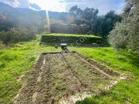 Şahin Gayrimenkul Den Kaplan Köyünde Yatırımlık Bahçe