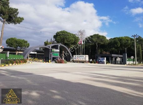 Acaradan/orhangazi Muradiye'de Hektaşa Bitişik 12.750 M² Tarla