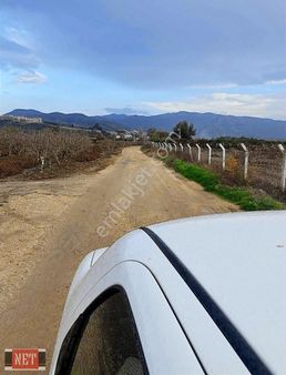 Kadastral Yola Cepheli,tek Tapu,elektrik,su Var