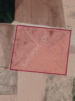 Sezenler Emlaktan Kadınhanı Kolukısa Mahallesi'nde Satılık Fiyatı Uygun Tarla