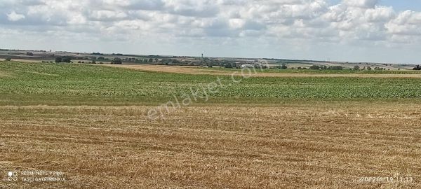 Beyazköy'de 2984 M2 Tek Tapu Mustakil Tapulu Tarla