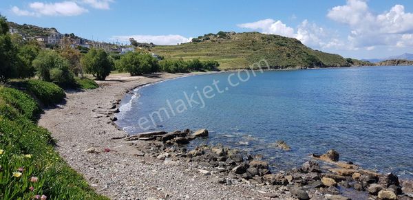 D-833 14.000 M2 Gümüşlük De Denize Sıfır Satılık Arsa