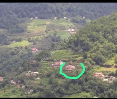 Hoşarlı Mahallesinde Yeni Yapılmış Kaloriferli 2,5 Katlı Ev Ve 1,5 Dönüm Tarla