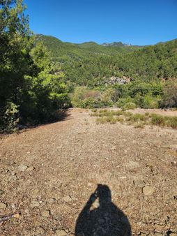 Antalya Gazipaşa Yeşilyurt Mahallesınde Satılık Müstakil Tapulu Tarla