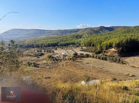 Çamovalı Mahallesinde Kadastrol Yolu Olan Satılık Tarla