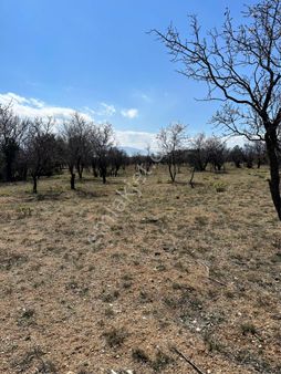 Köy Yakını Müstakil Tapulu