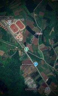 Satılık Fındık Bahçesi Yatırımlık Koy Yol Üstünde Yeni Çarşamba Cezaene Yakın