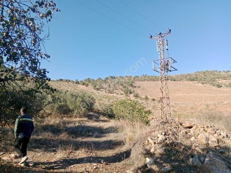 Manisa Selendi Satılık Tarla