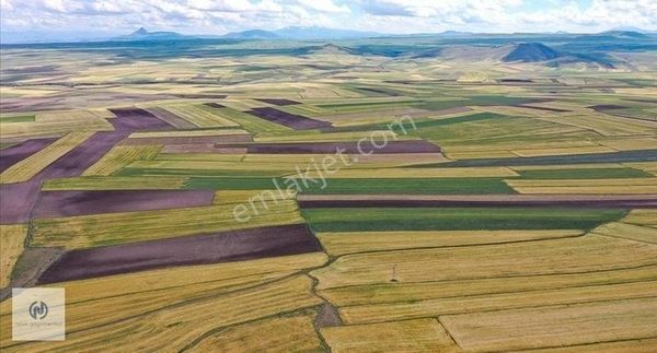 **nova** Tarsus Mantaş'ta Satılık 50.000 Metrekare Tarla