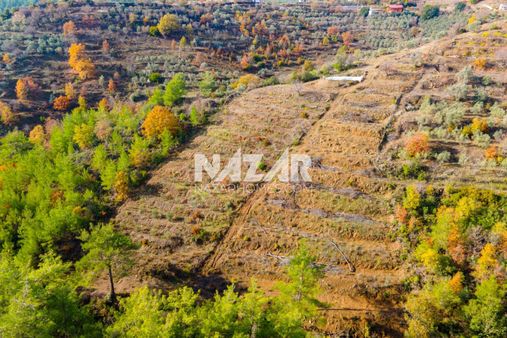 Alanya Şıhlar Köyü’nde Satılık 3.451 M² Tarla