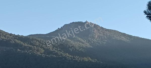 Çanakkale Bayramiç Çavuşlu Köyünde Satılık Tarla