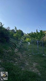 Biliceli Gayrimenkulizmirkemalpaşa Beşpınar 3206m² Acil Satılık Bahçe