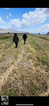 Biliceli Gayrimenkul İzmir Menemen Türkerli Yıldırım Mh Sinde 744m²satılık Tarla