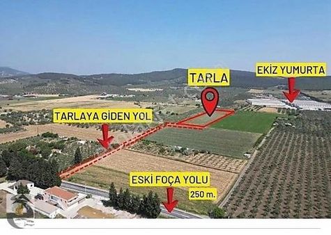 İzmir Foça Ilıpınar Mahallesi'nde 376m² Satılık Tarla