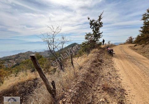 Ada Royalden 4 Dönüm Tek Tapulu Yola Cepheli Tarla