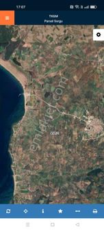 Çanakkale Ezine Geyikli Mahallesinde Yatırıma Uygun Tarla Vasıflı Zeytinlik