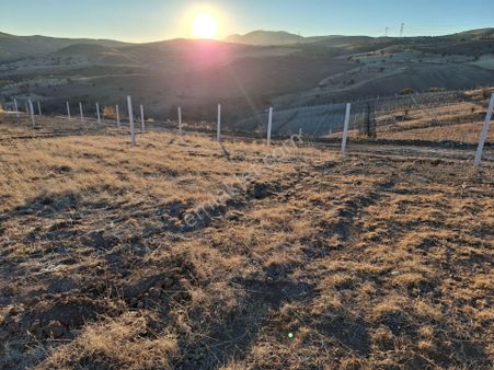 Osman Gülcan'dan Sığırlıhacı Mah'de Herşey Dahil Hesaplı Bahçeler