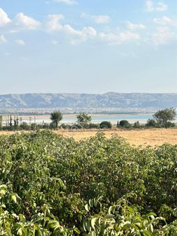 588 M2 Gül Bahçesi