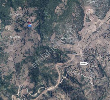 Biga Gayrimenkul'den Çan Asmalı Köyünde 2,250m2 Satılık Tarla