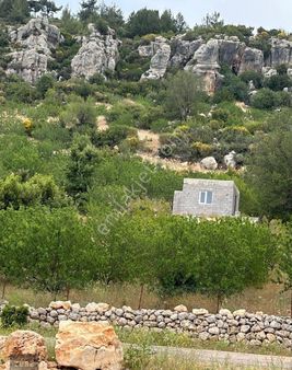 Türe Gayrimenkulden Satılık Badem Bahçesi