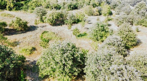 7d Gayrimenkulden Satılık İnegölde Ges Projeli Tarla