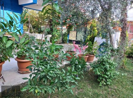 7d Gayrimenkulden Satılık Gemlik Te Bahçeli 3 Katlı Yazlık Ev