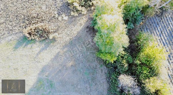 7d Gayrimenkulden Satılık Kurşunlu Da Tarla