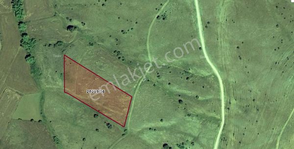 Çalkara Mahallesinde 6.240 M2 Satılık Tarla