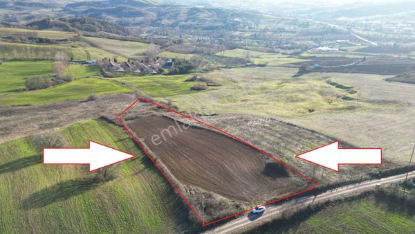 Kocaeli Kararmürsel Yalakdere 5253 M2 Satlık Tarla