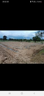 Mirac Emlaktan Denizli Acıpayam Yeşilyuvada Da 1450 M2 Hobi Bahçemiz Satılıktır