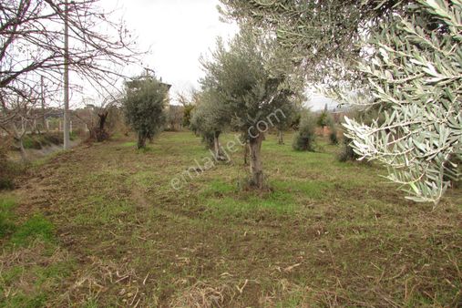 Nazilli Ocaklı Mahallesi Satılık Arsa